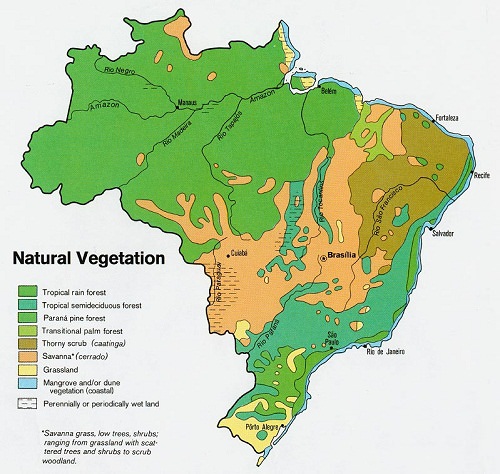 plan-amerique-du-sud-amazonie-et-amazone